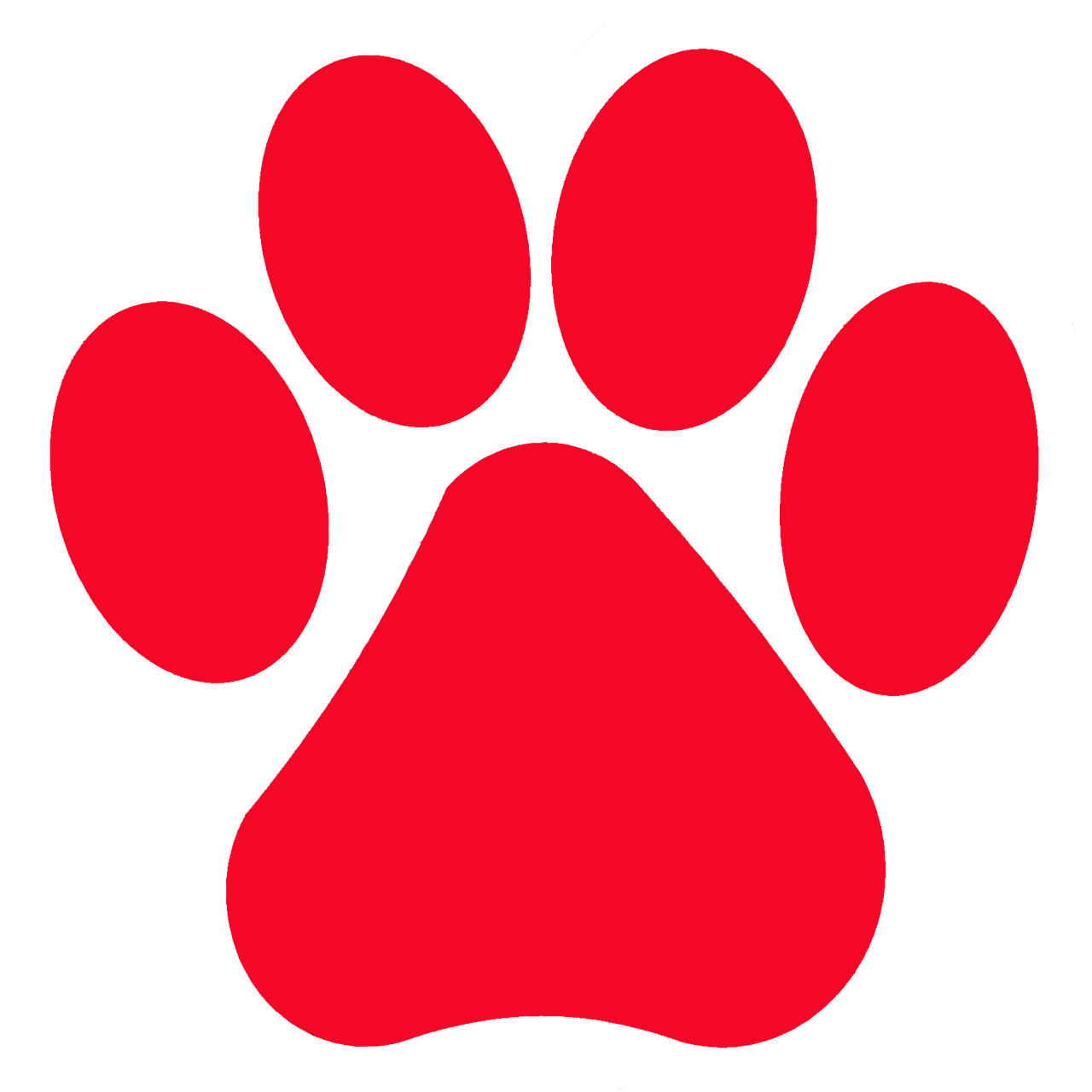 Cat Boarding Rates in Port Stephens - Cubbins Cattery