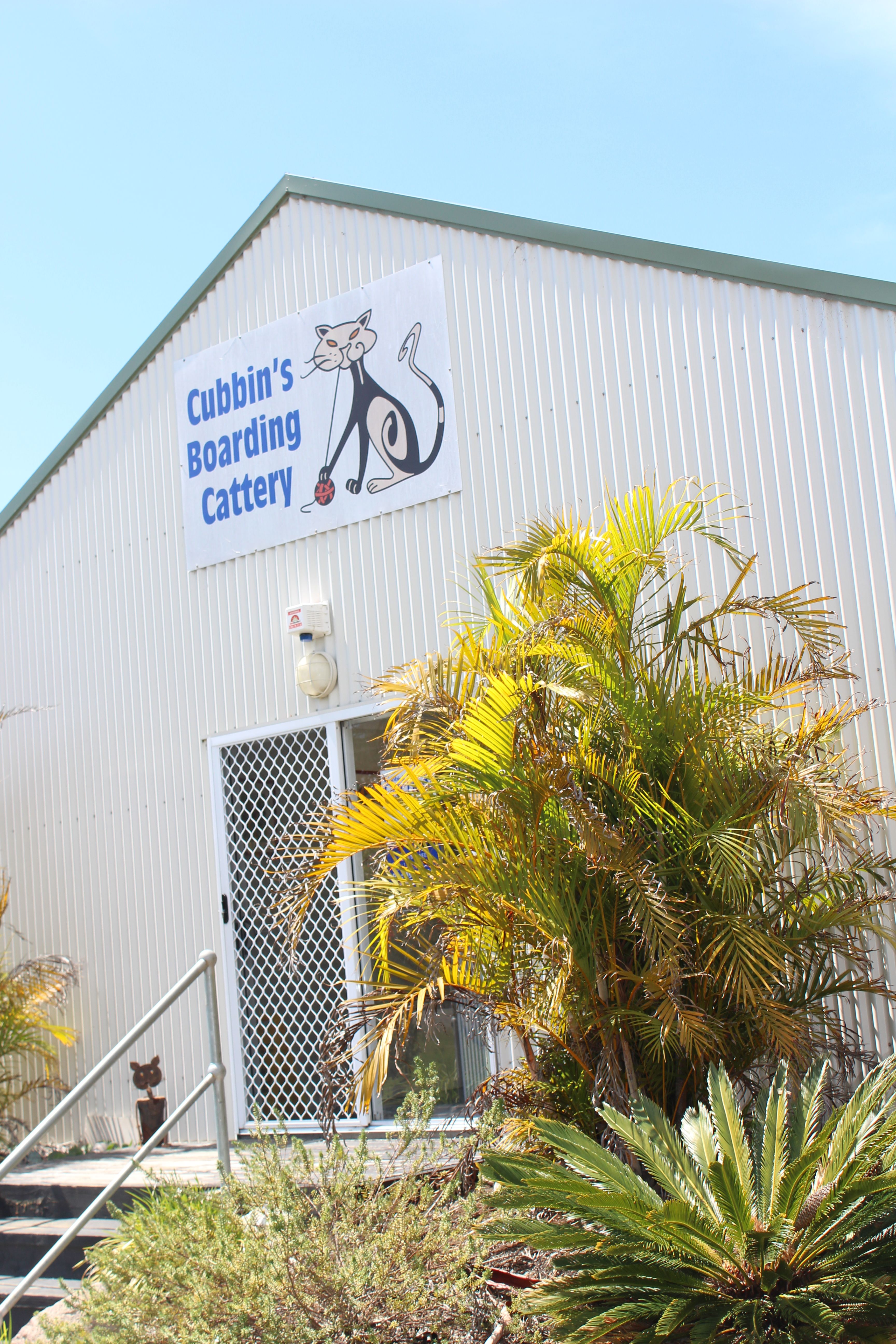 Contact Cubbins Cattery - Cat Boarding Port Stephens